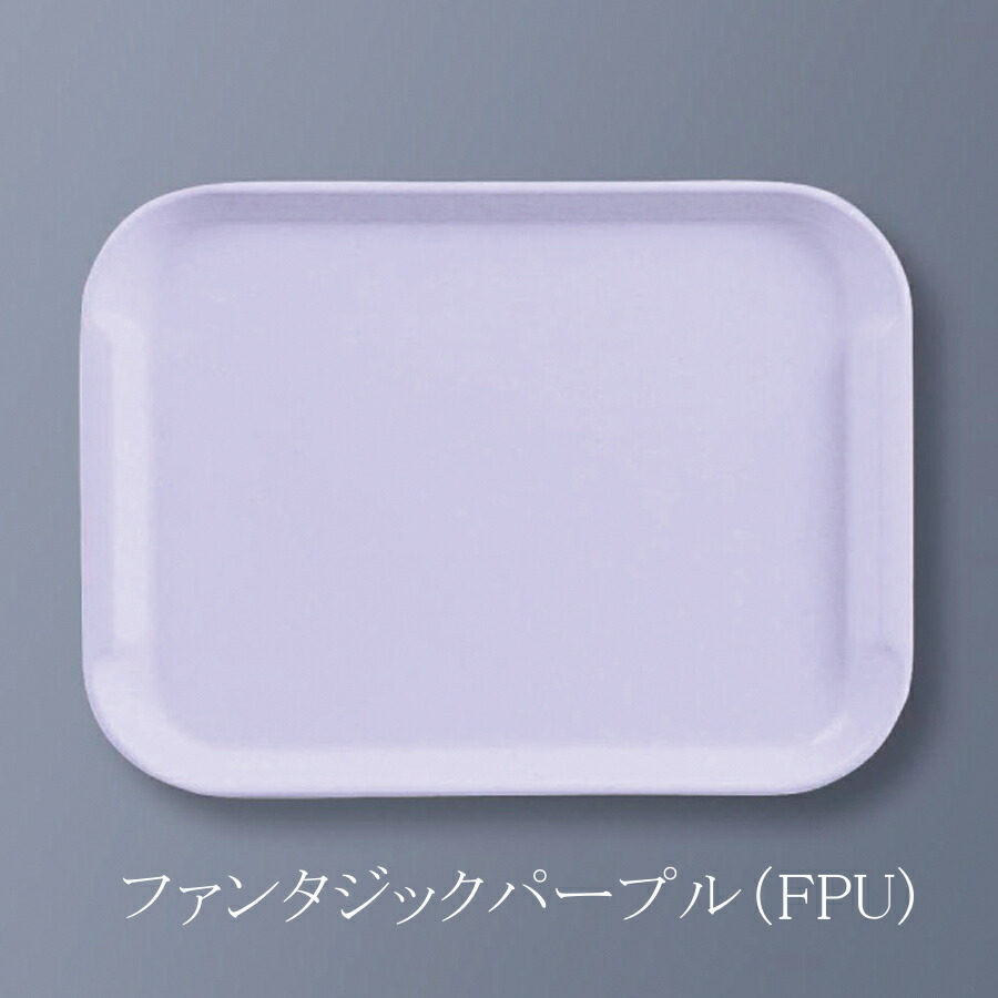 5883) ③ 中古 三信化工株式会社 エスタートレイ SE-23 長方形